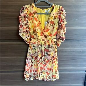 BNWT Walter Baker dress, size 0. missing button on sleeve but extra with tags!